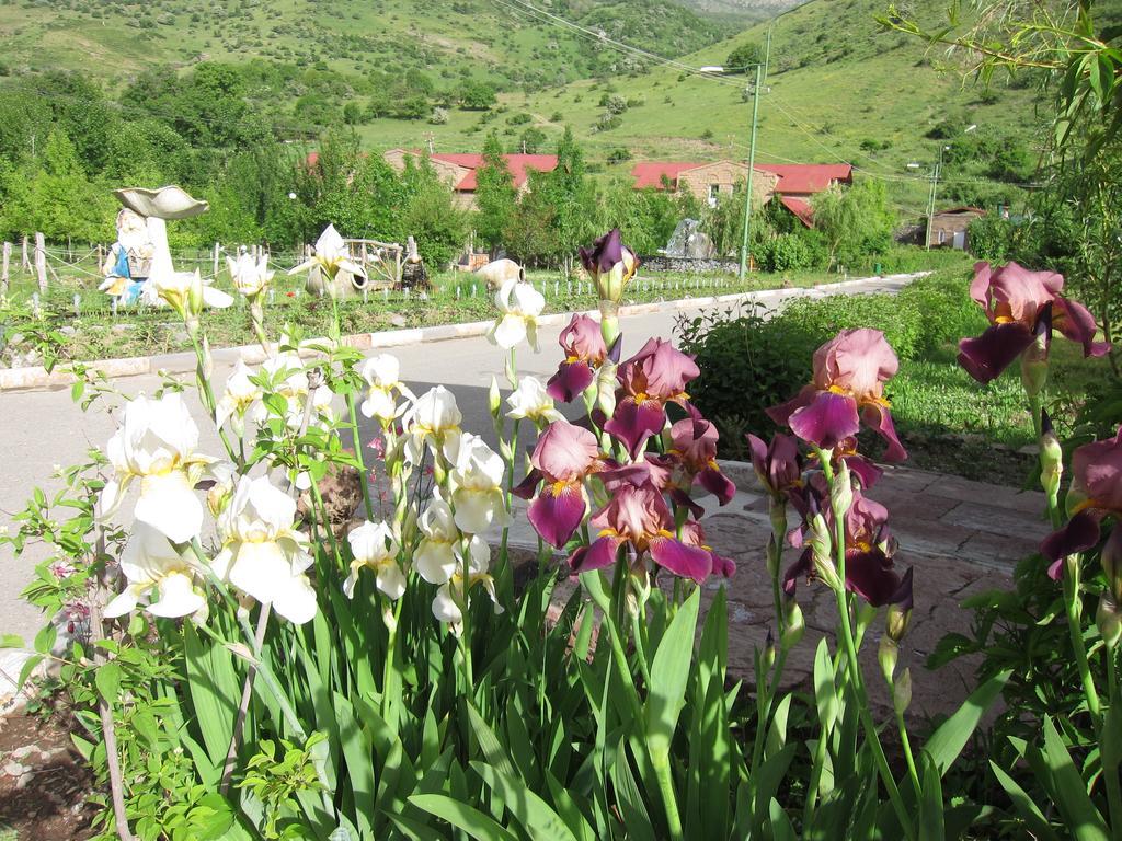 Lucytour Hotel Hermon Dış mekan fotoğraf